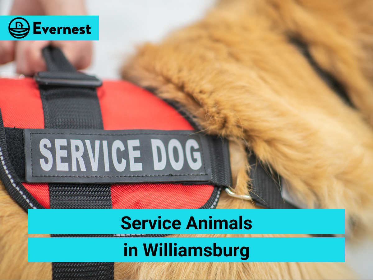 Service Animals in Williamsburg: Everything Landlords Need to Know